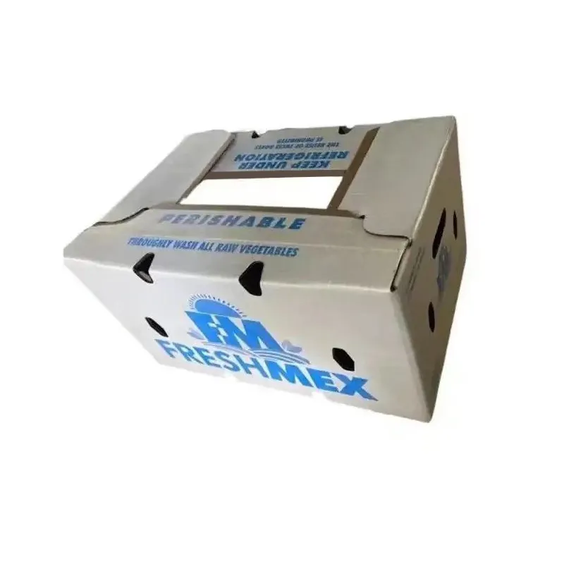 Logo Printed Wax Corrugated Box